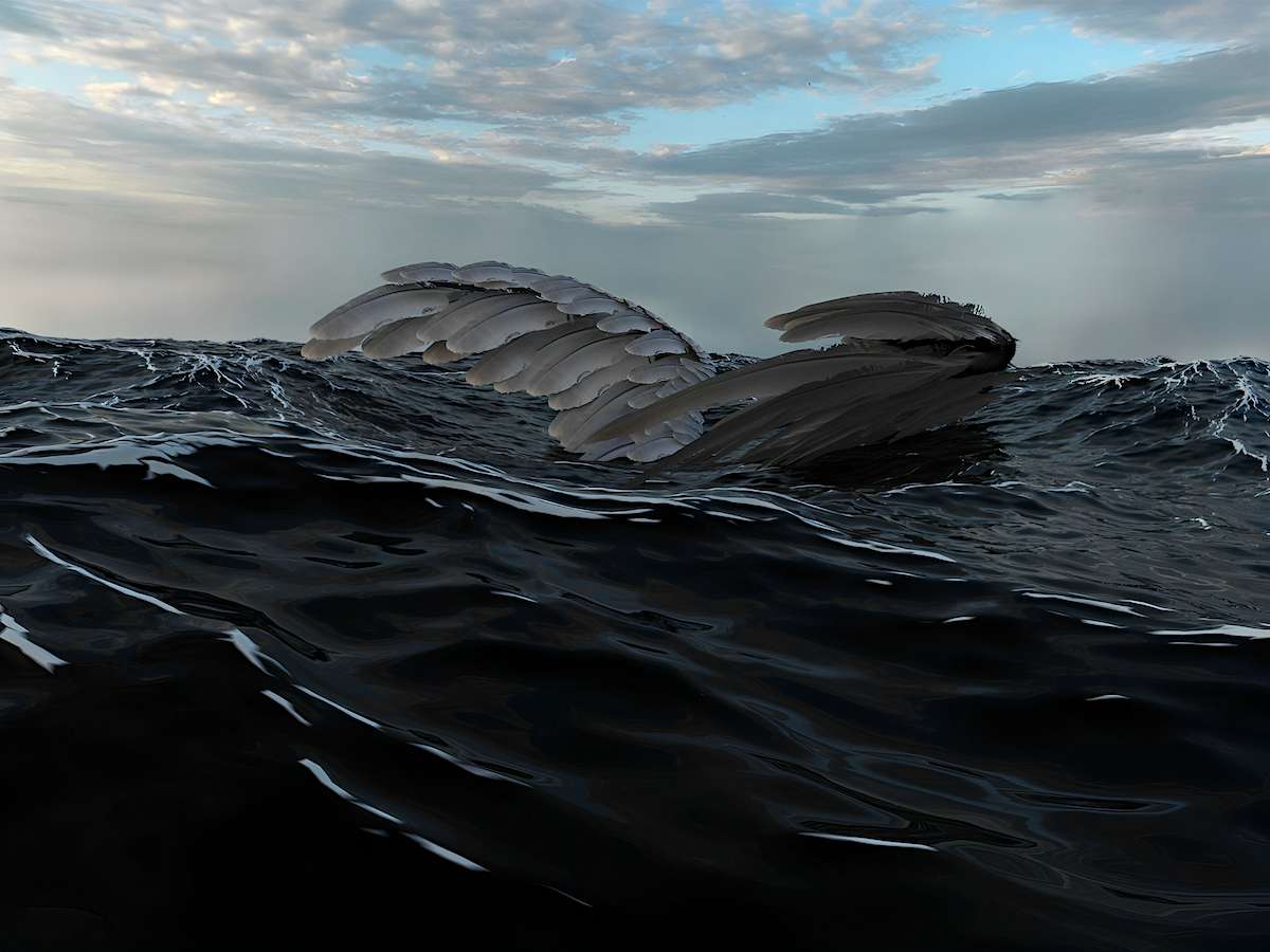 Wings in ocean made in Blender. Used in final animation piece.